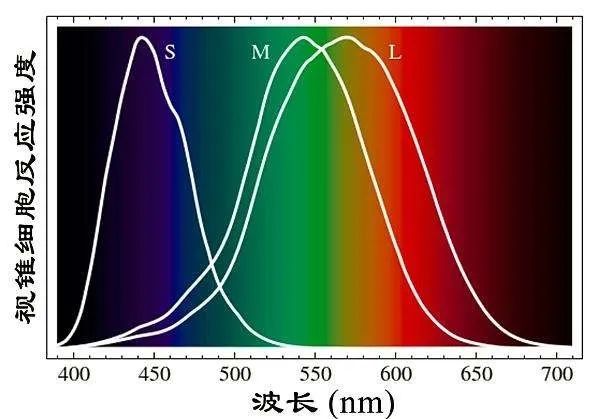 1_20220407_170515554