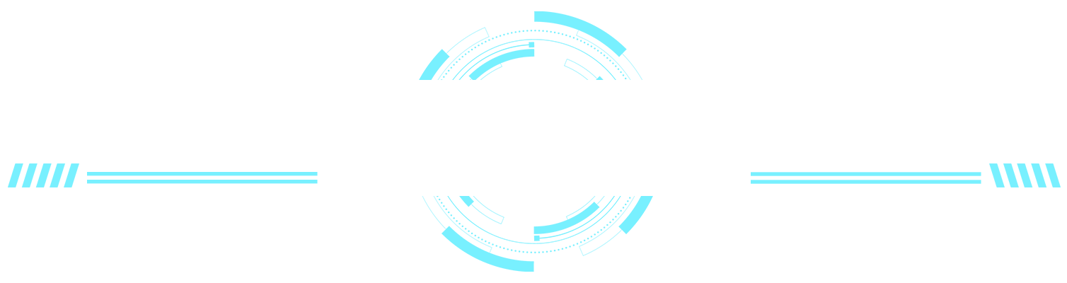 描述