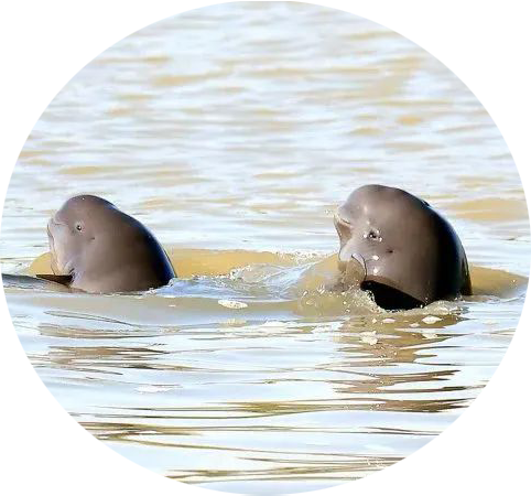 1725586363410e475b9aa5fd44d3aa12cbe16b2c6da65