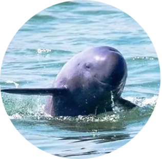 17255863634204b6e656a5b12dae9c4f53bddc4acefa9