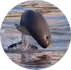 1725586363455a609fbdefa08d50b21f59bcef15eb449