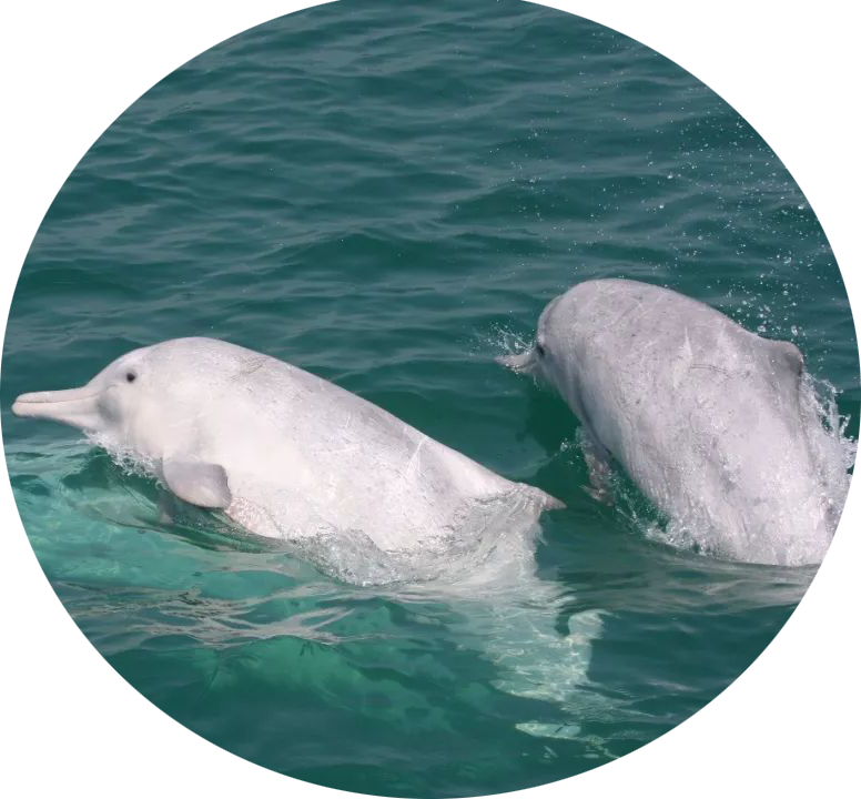 1725591011560803b181452d7cd3404e47d73525e0e07