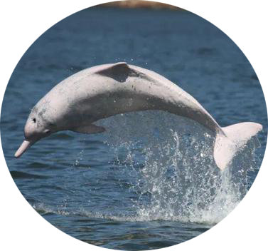 17255910324919e5ed56ec59e9f1b1c954f8857aa320f