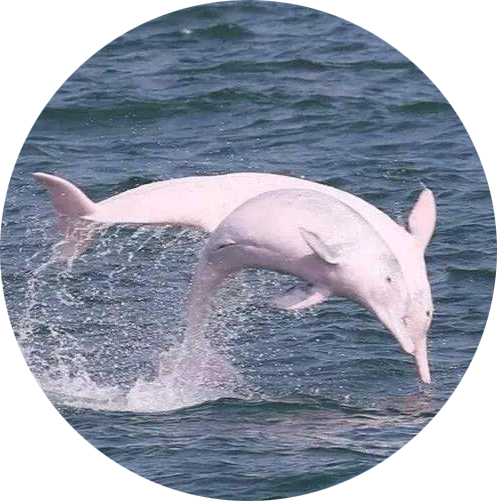 17260318443988f2331a4dcbb7ee5a9ad71da55a65ef1