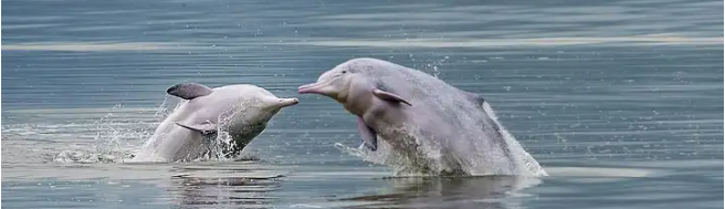 1726792892674b9e1912828514c804f905f9fc7523692