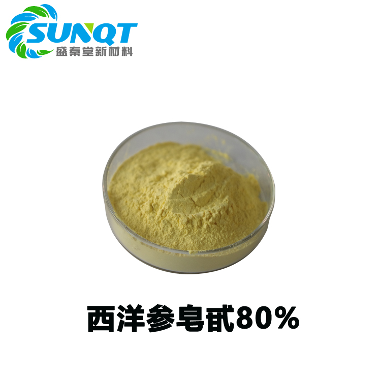 西洋參提取物 西洋參皂苷（甙）