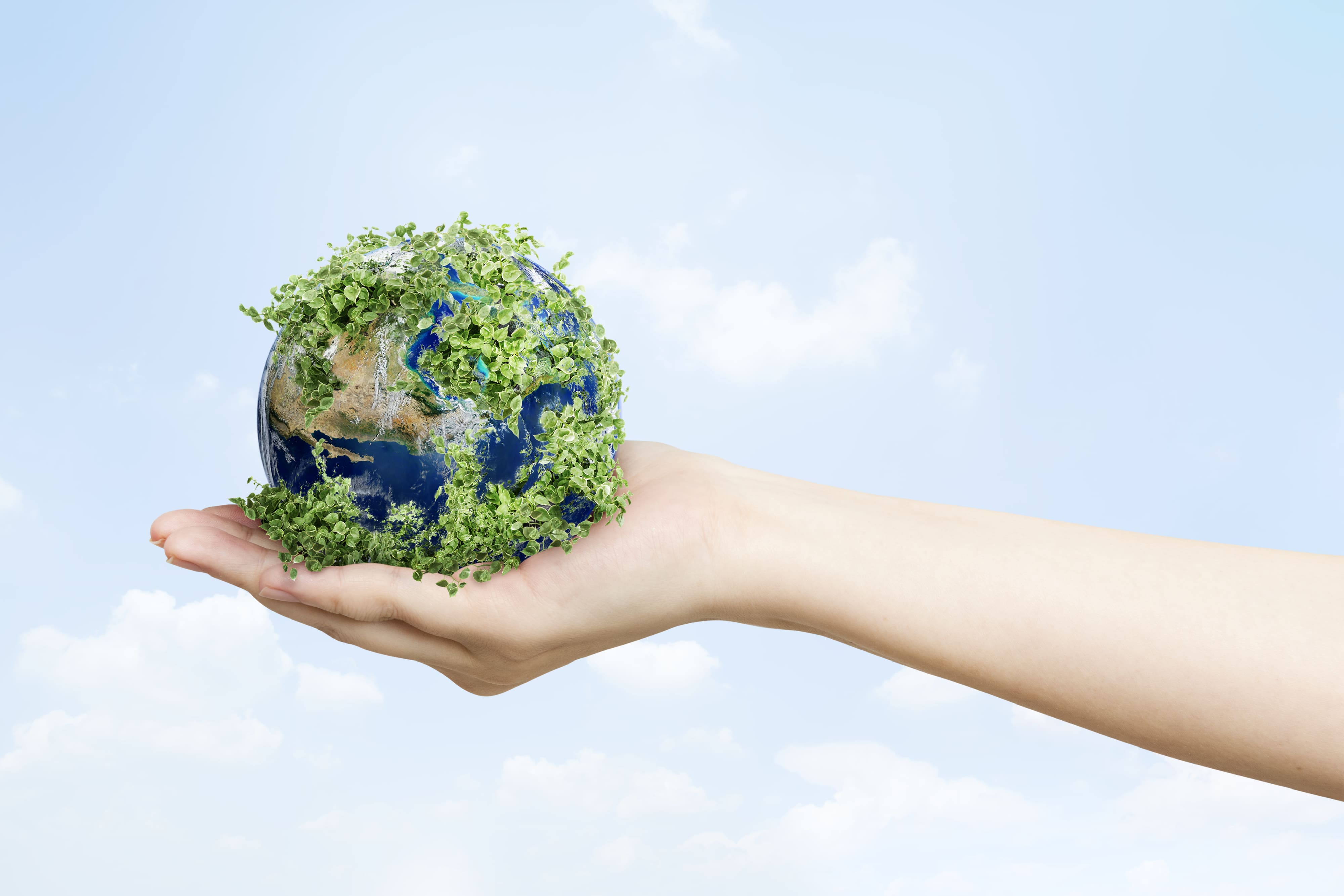 sustainable-living-environmentalist-hand-holding-green-earth