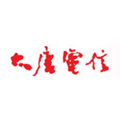 大唐電信