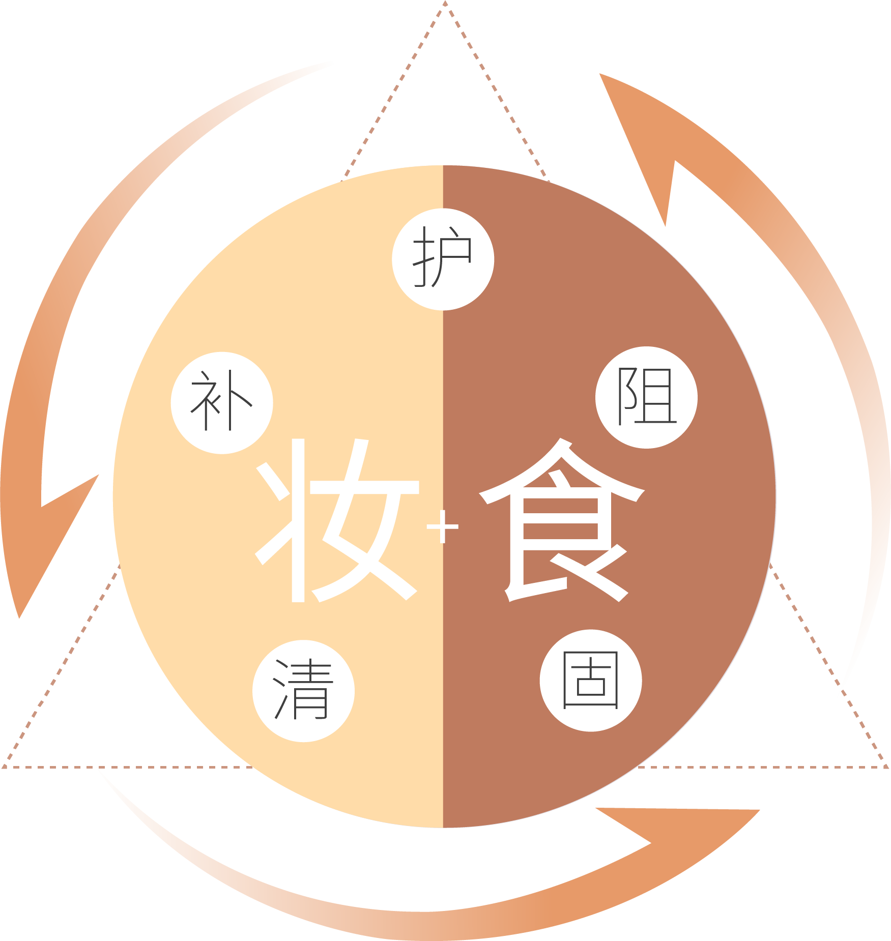 描述