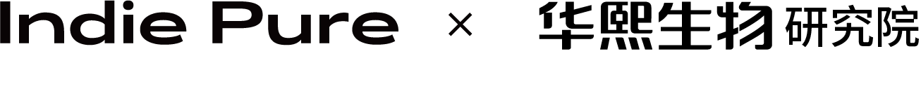 描述