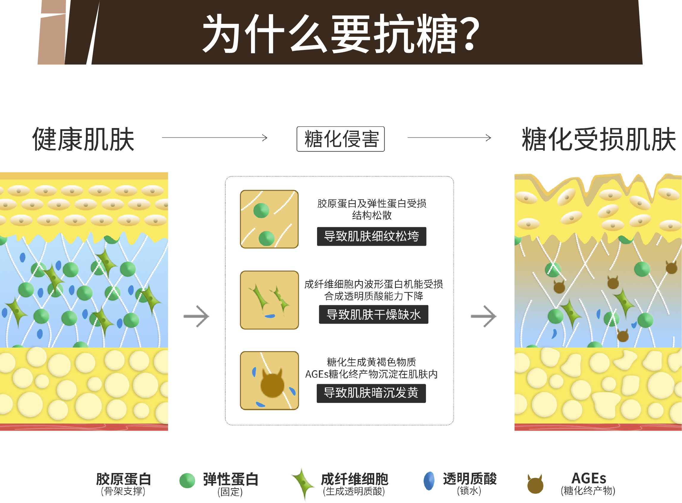 描述
