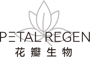 描述