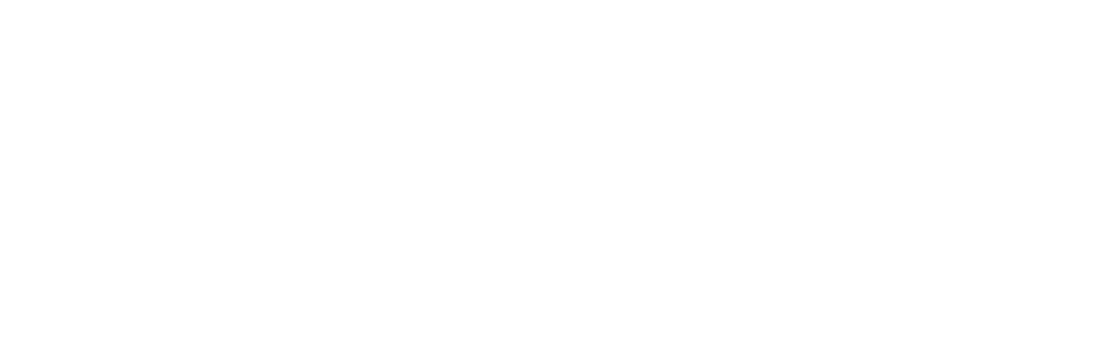 描述