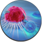 肿瘤微环境组成
肿瘤发展机制
肿瘤组织细胞图谱
细胞表面蛋白
克隆进化