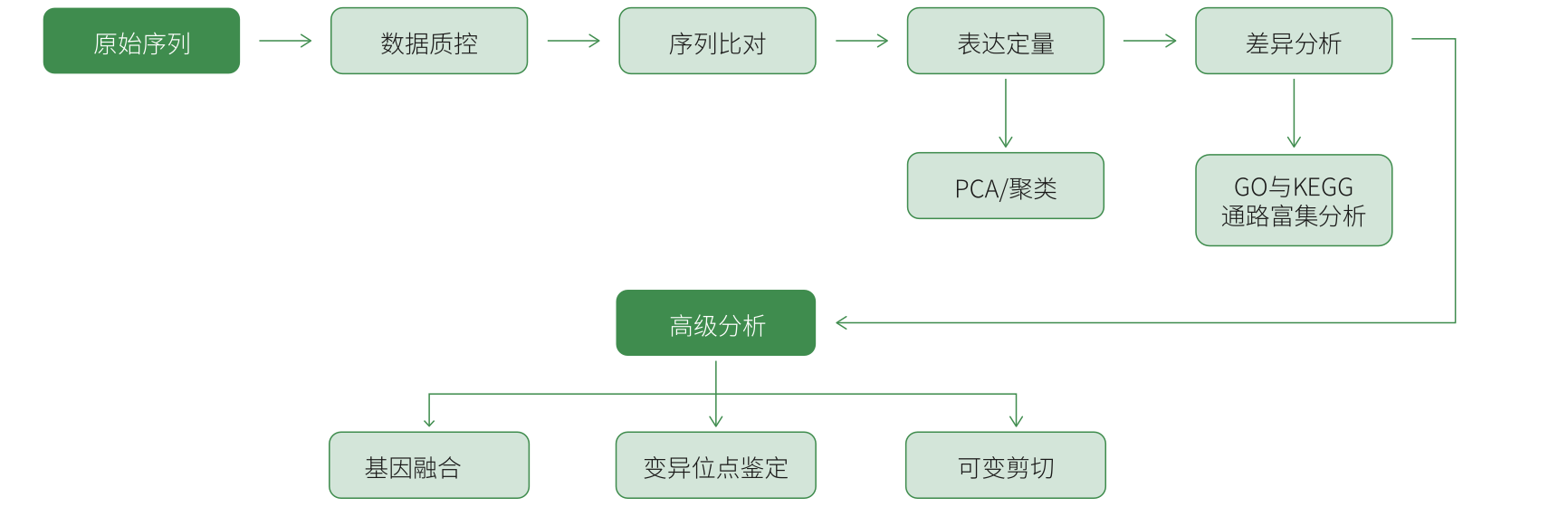 描述