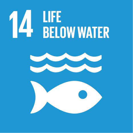 Sustainability-UN_SDG_Icons-14