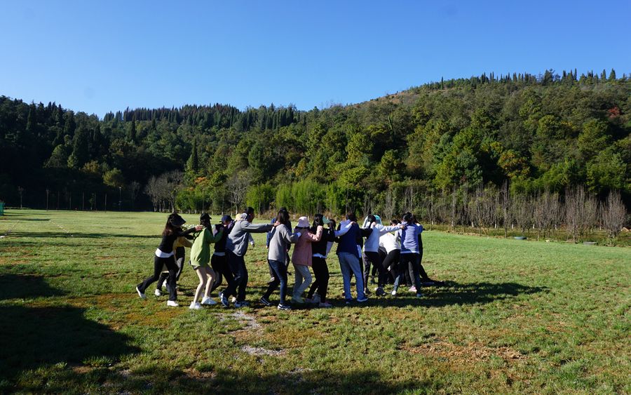 164588040706191a4e8cddd85d893