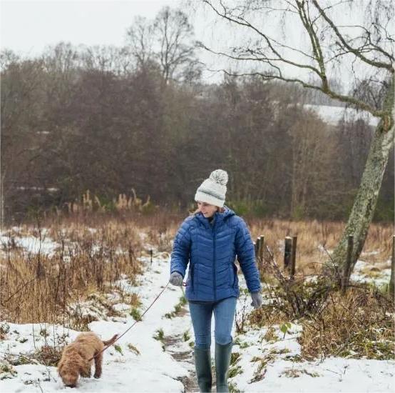 5 Tips for Walking Your Dog in the W...