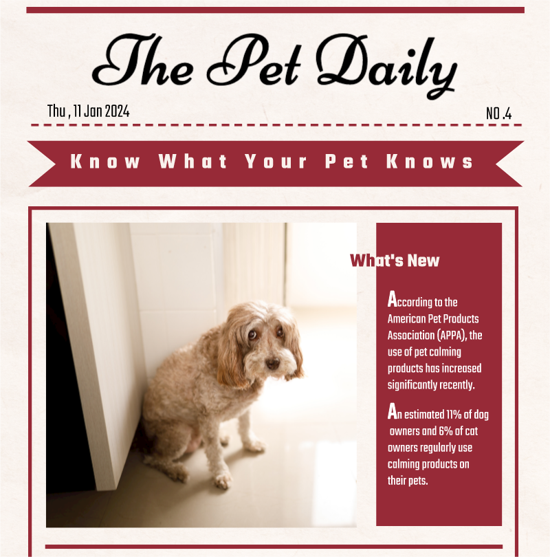 The Pet Daily (11 Jan 2024)