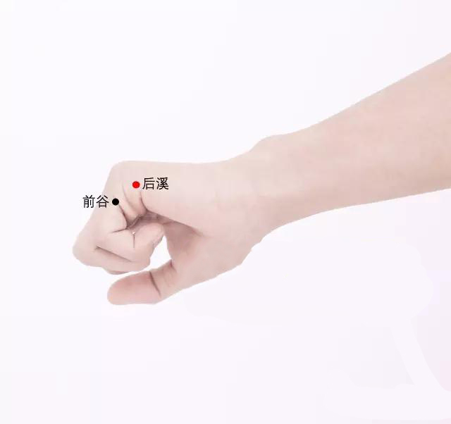 后溪穴