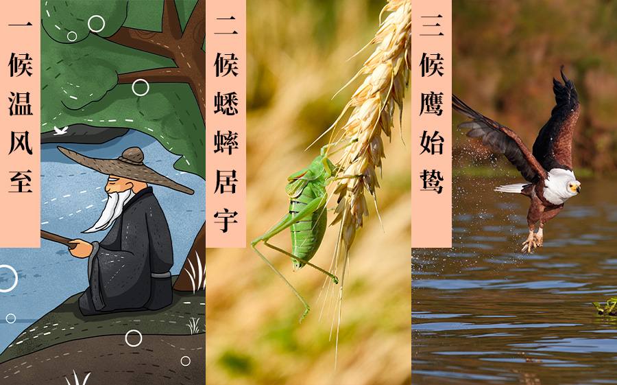 未标题-1_20230707_16886984111993720