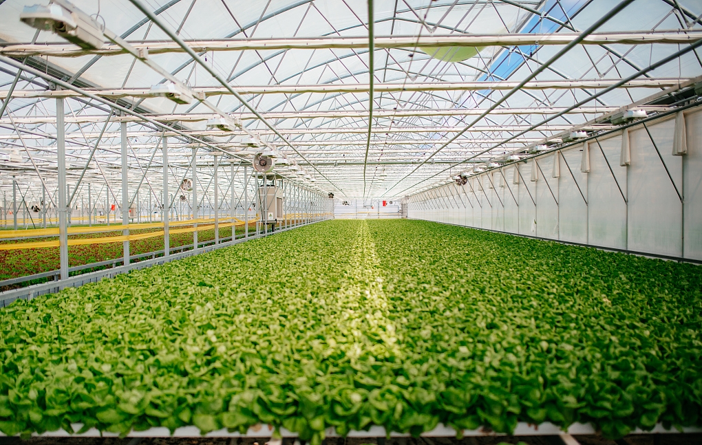 數(shù)字農(nóng)業(yè)