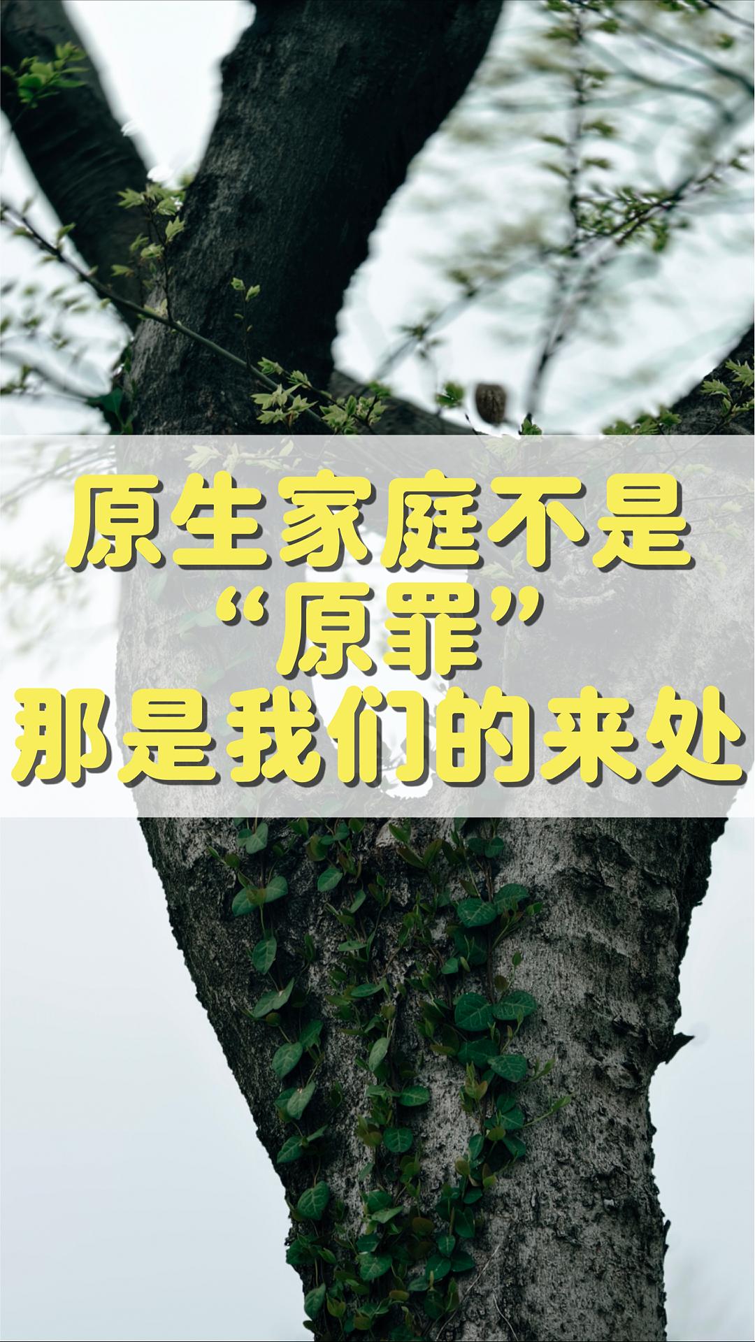 原生家庭不是“罪”