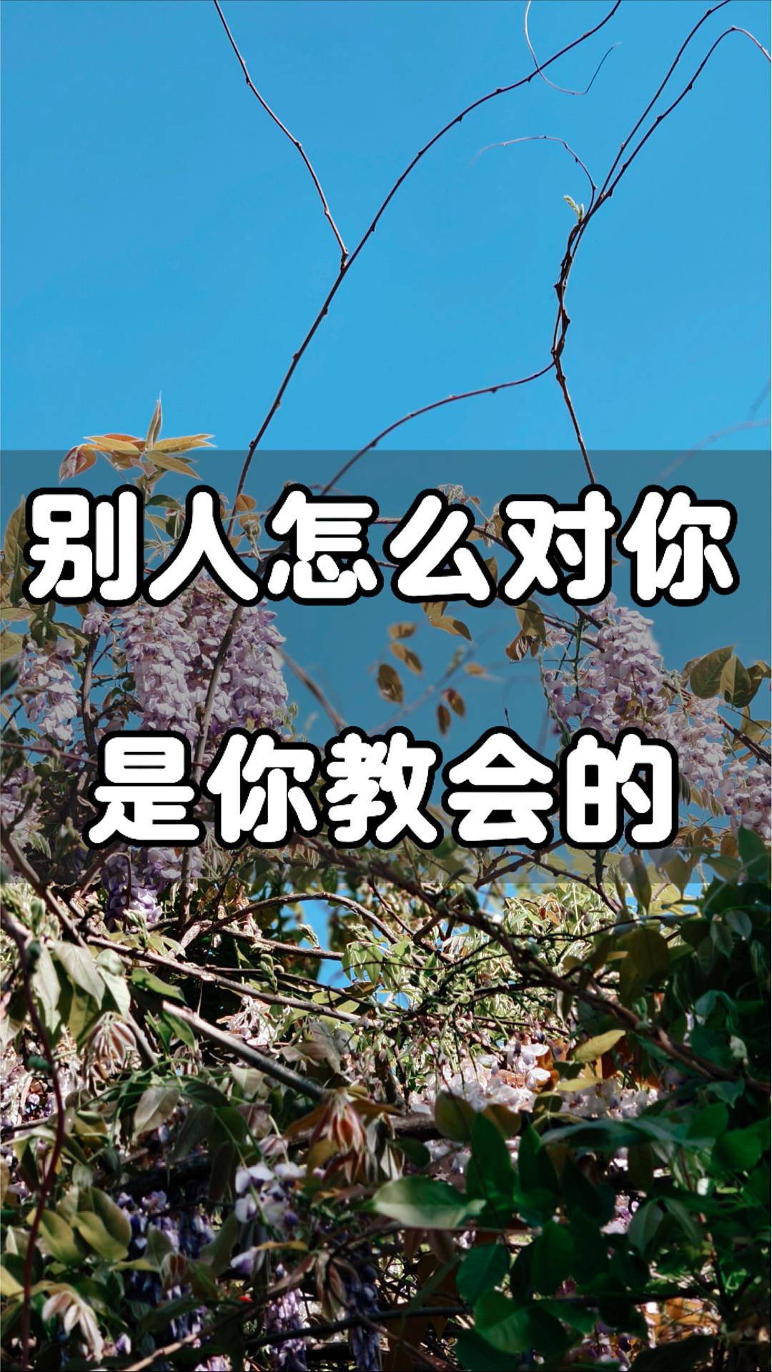 别人怎么对你，是你教会的