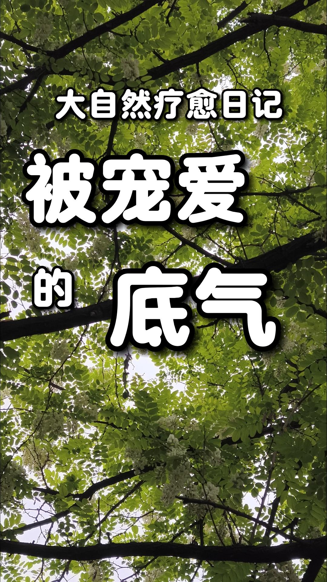 被宠爱的底气