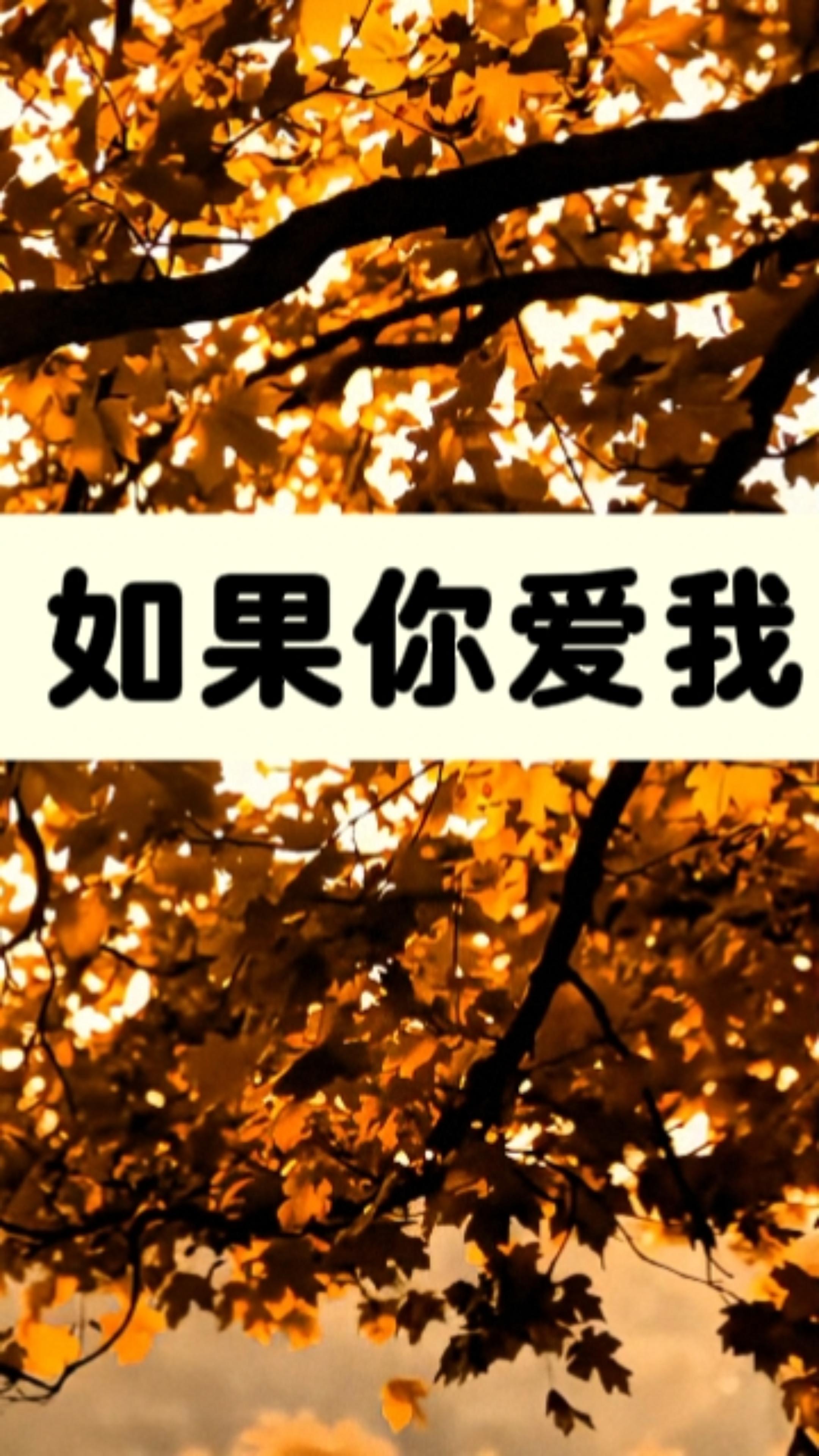 如果你爱我