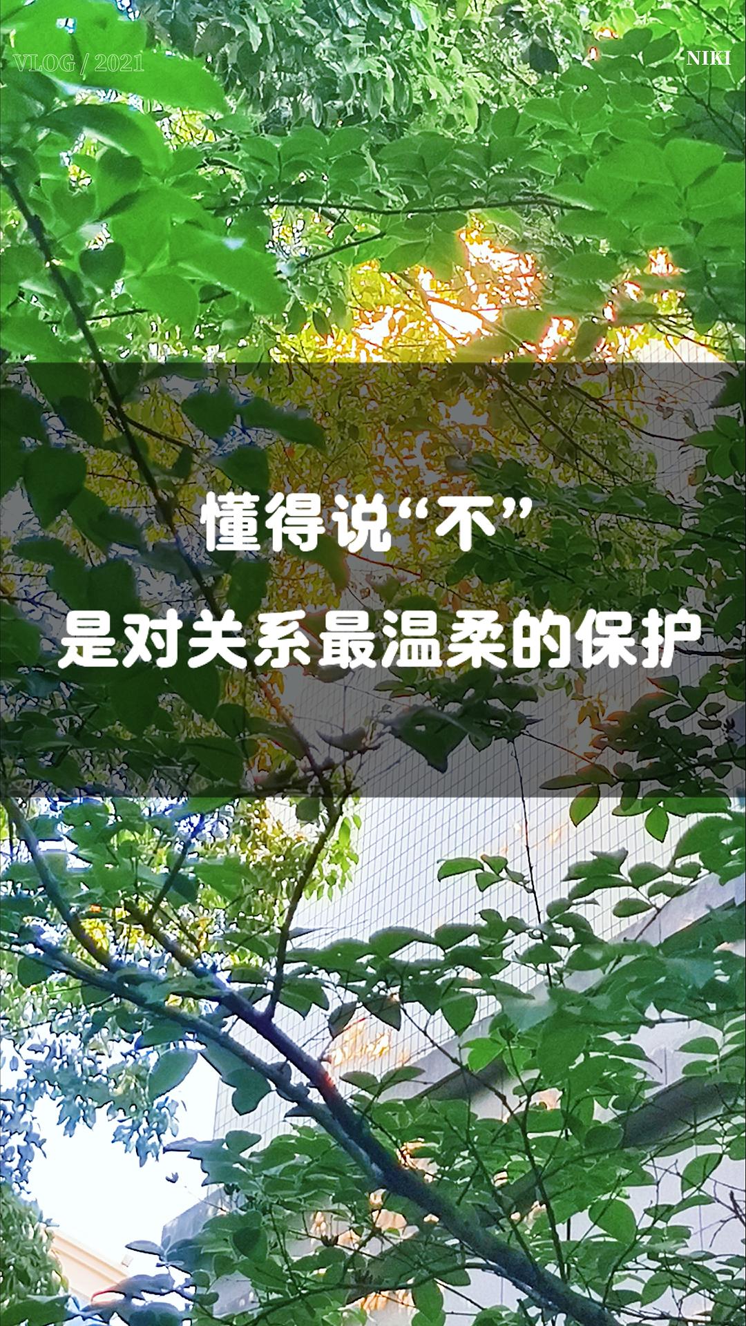 懂得说“不”，是对关系最温柔的保护