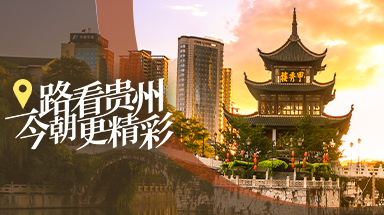 描述