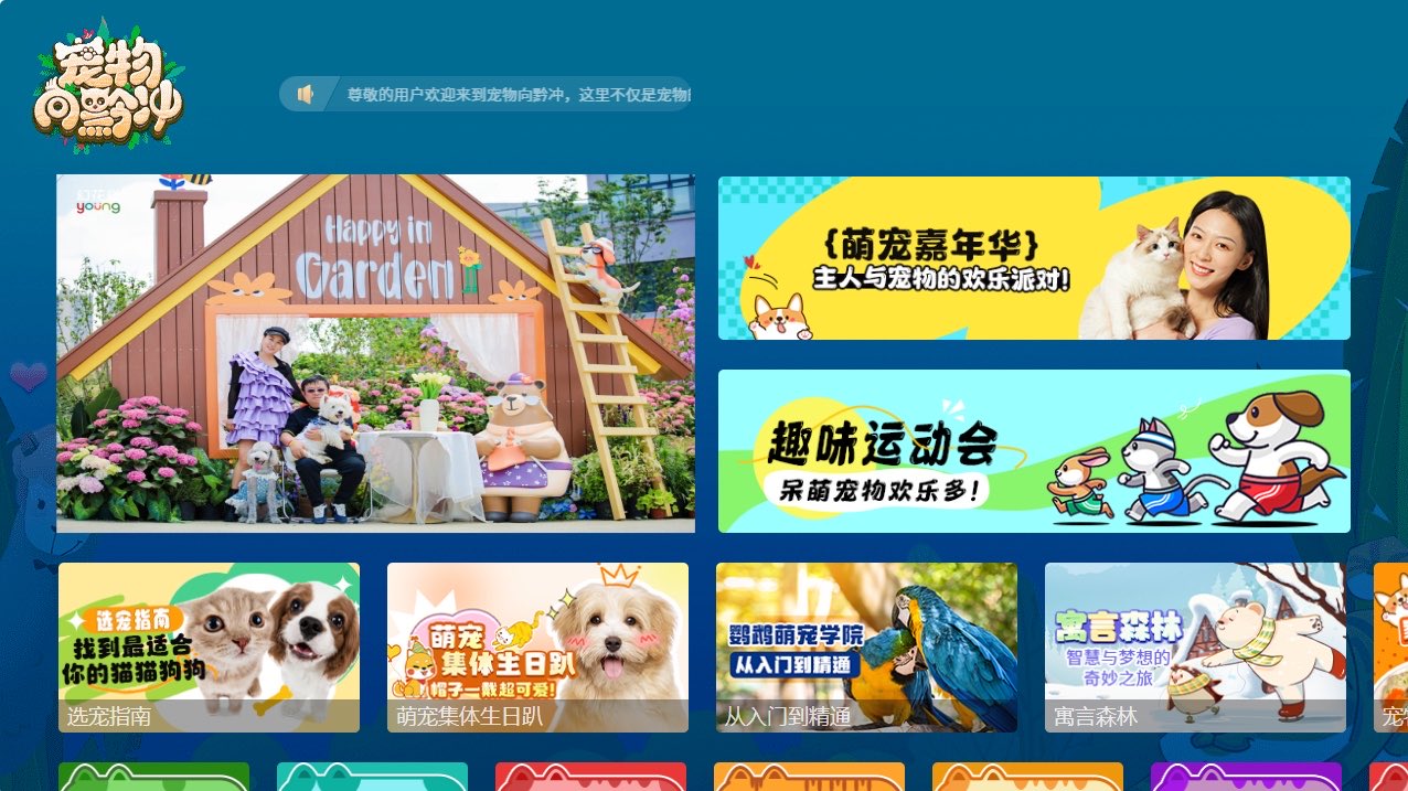 宠物向