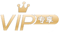 描述