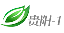 序号8 贵阳-1 新闻综合频道