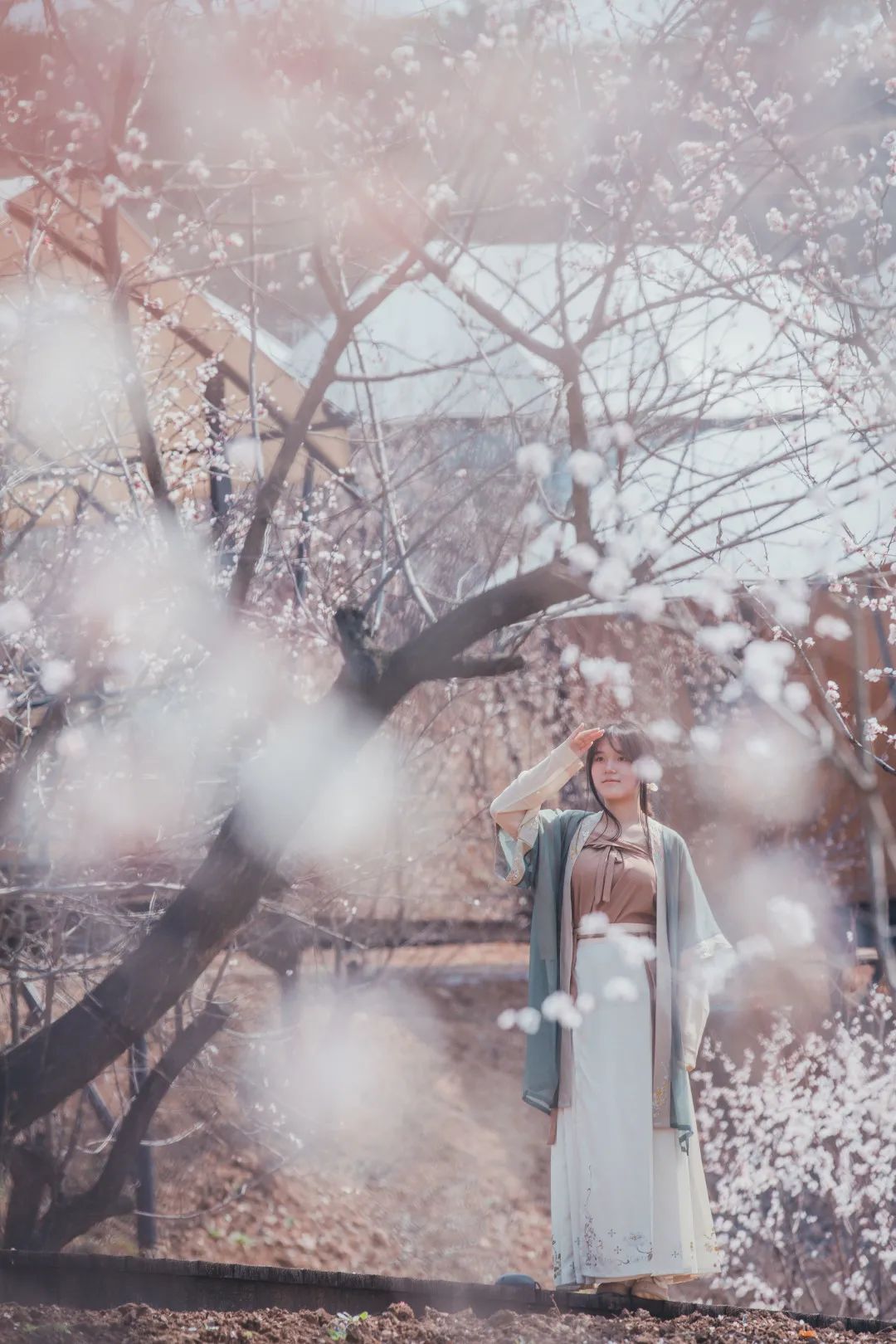 早春三花11