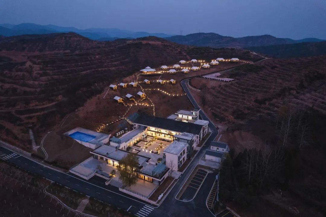 早春三花15