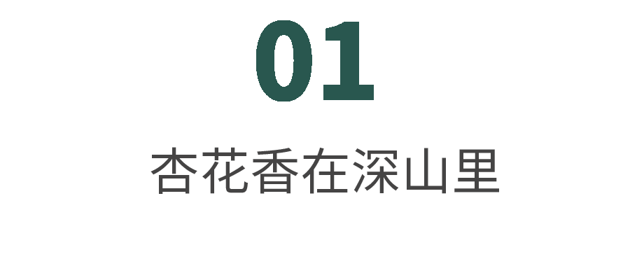 早春三花4
