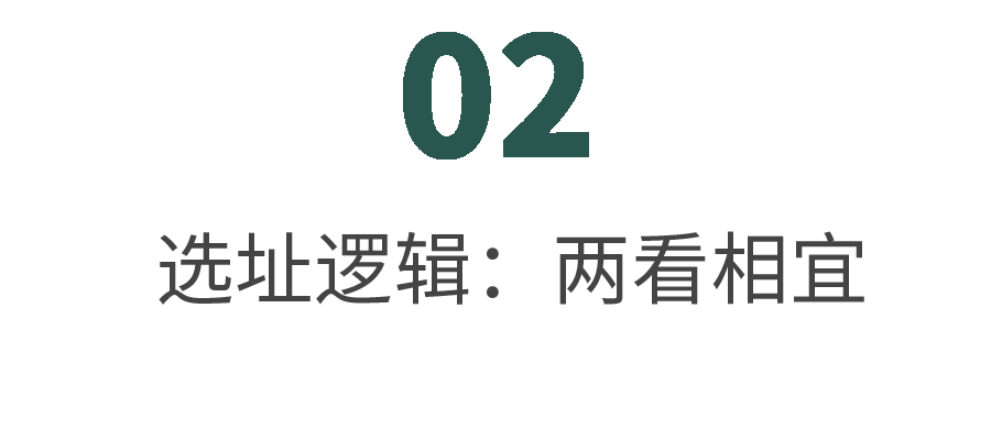 早春三花14