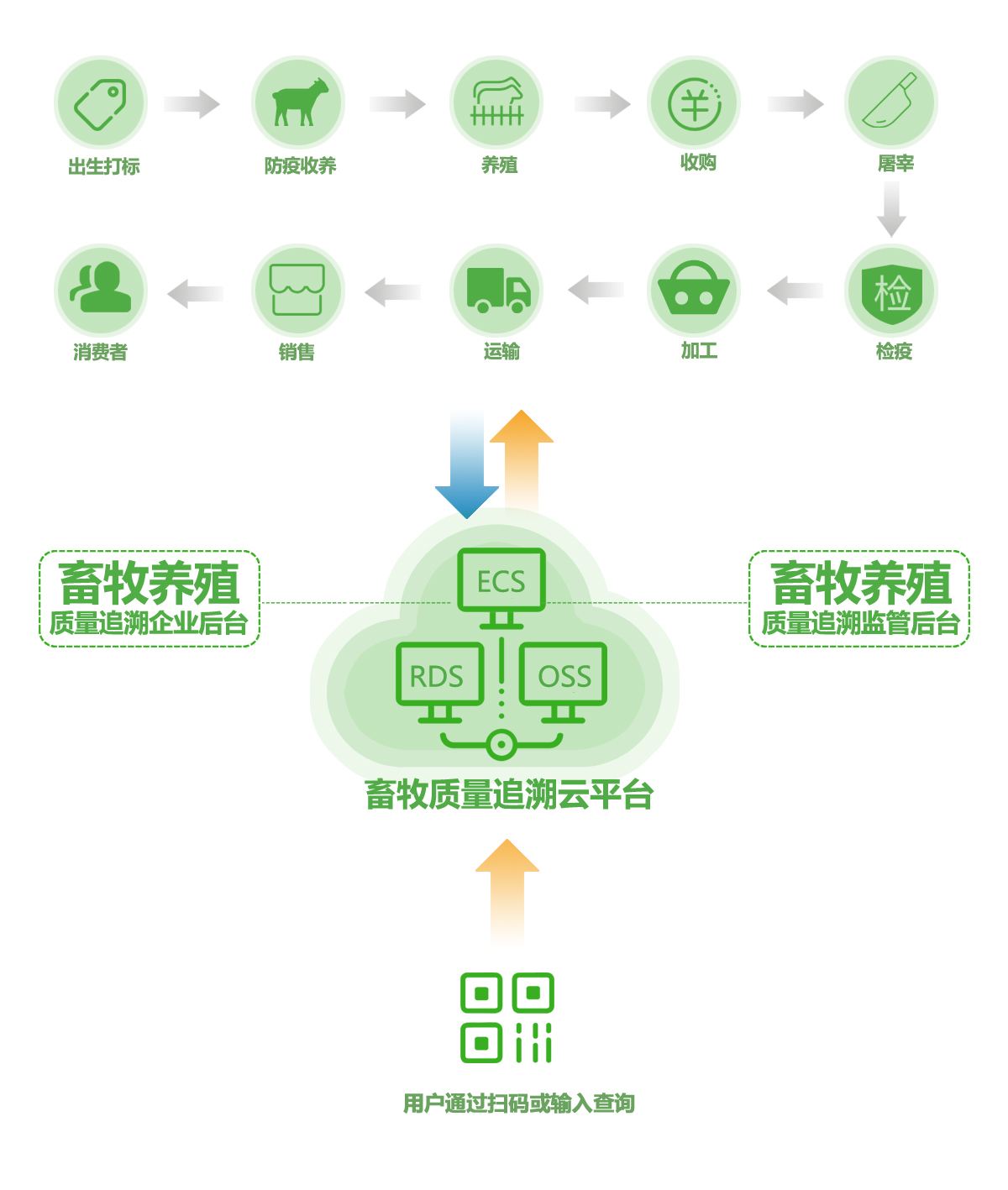 养殖溯源