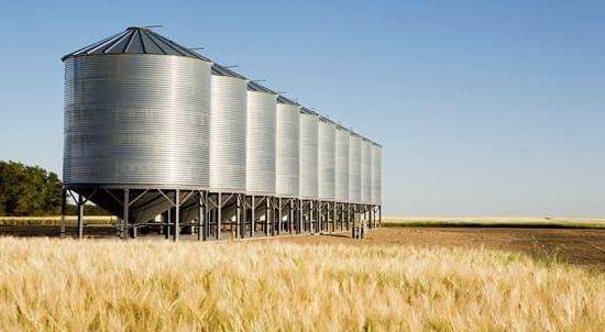 智慧粮仓智能出入库,智能通风,智能仓储,害虫检测,低温储粮怎么实现