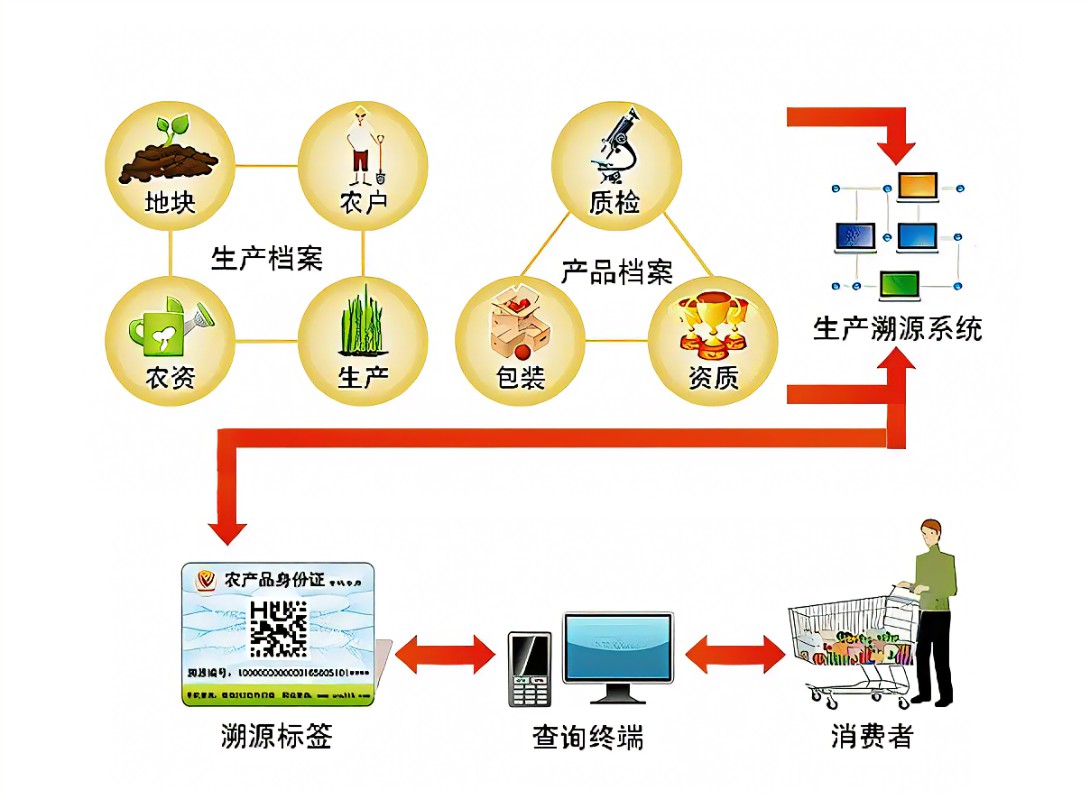 溯源系统