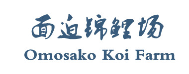 2012a