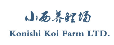 未命名_副本21210.