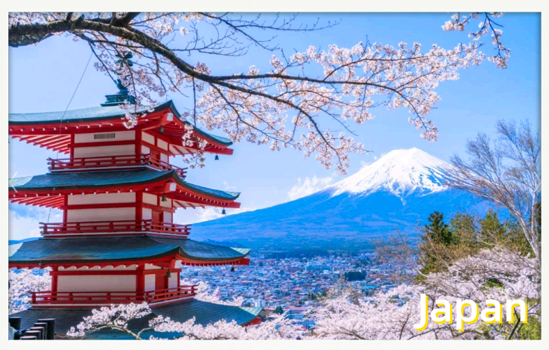 Japan FBA/DDP Line