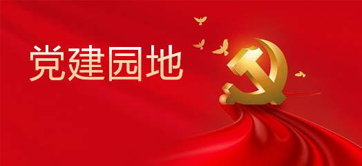 描述