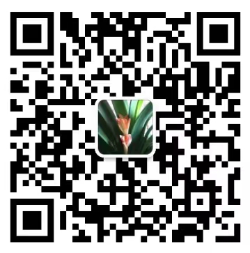 262x&version=1680931263