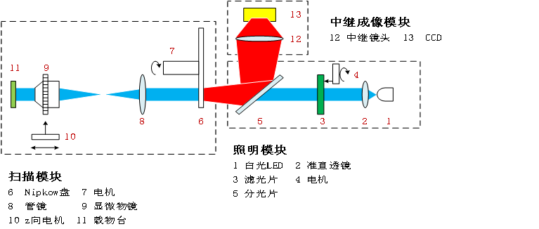 描述