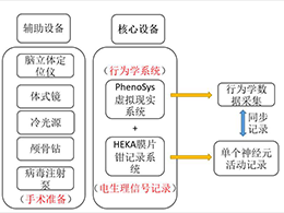 描述
