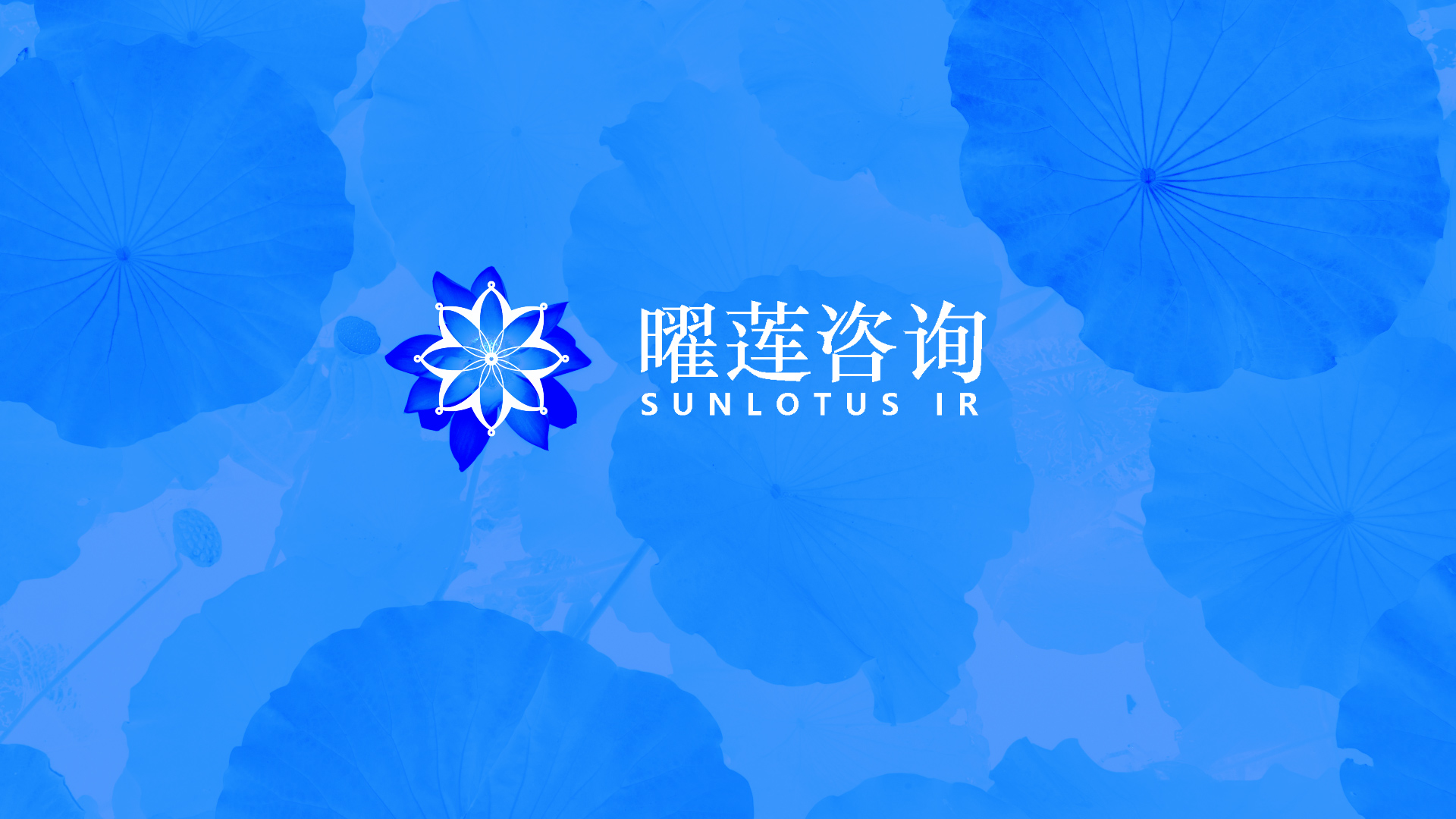 描述